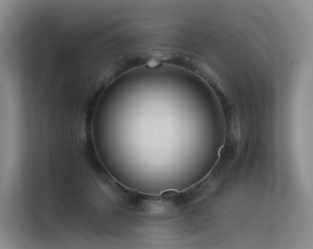 X0000113240512200909101411