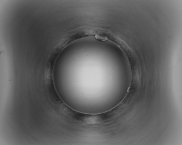 X0000113240513200909101411