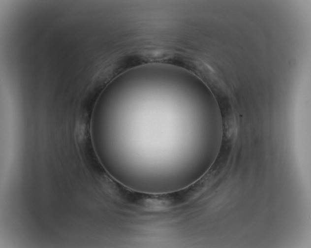 X0000113240515200909101411