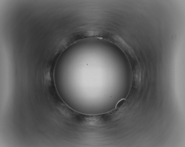 X0000113240516200909101411