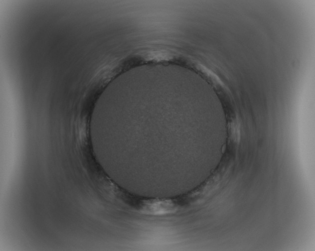 X0000113240517200909101411