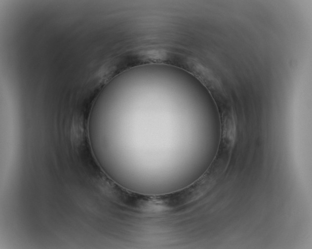 X0000113240518200909101411