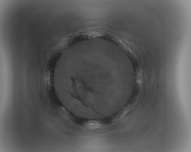 X0000113240519200909101411