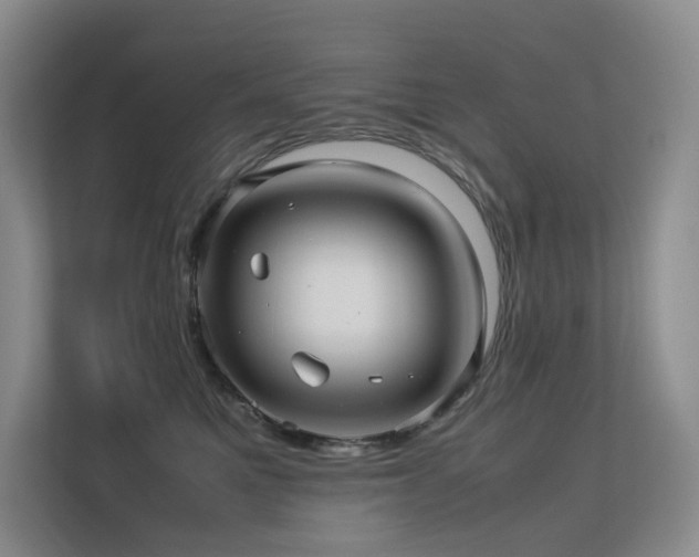 X0000113240521200909101411