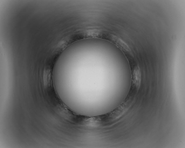 X0000113240522200909101411