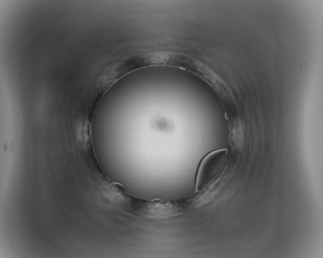 X0000113240525200909101411