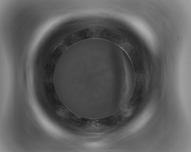 X0000113240526200909101411