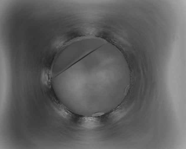 X0000113240528200909101411