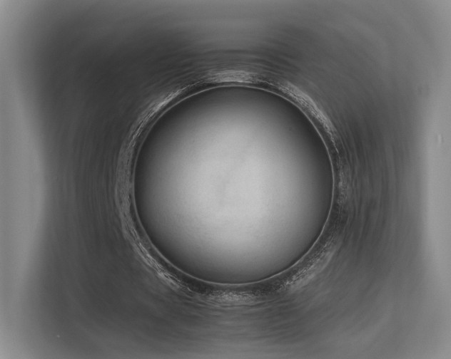 X0000113240529200909101410