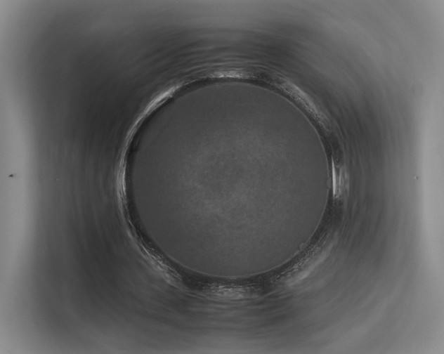 X0000113240531200909101410