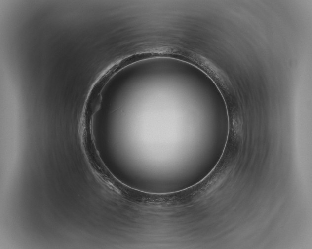 X0000113240532200909101410