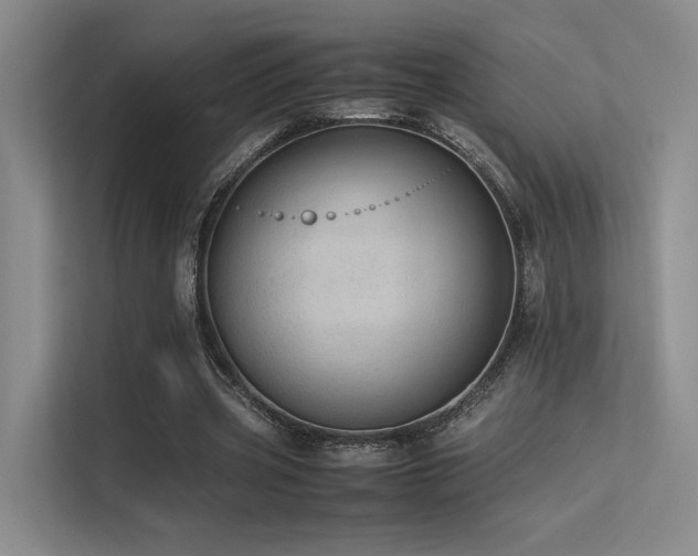 X0000113240533200909101410