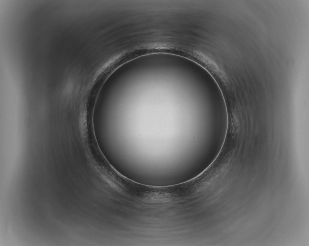 X0000113240535200909101410