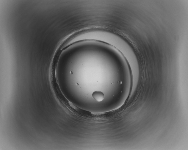 X0000113240536200909101410