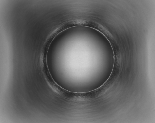 X0000113240538200909101410