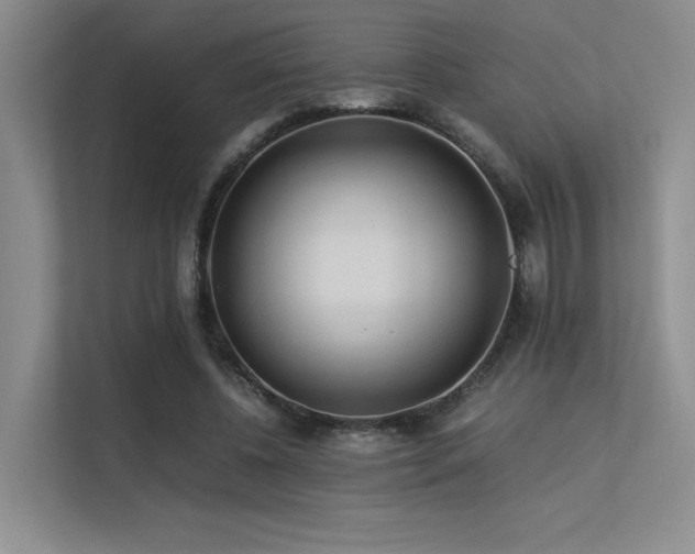 X0000113240540200909101410