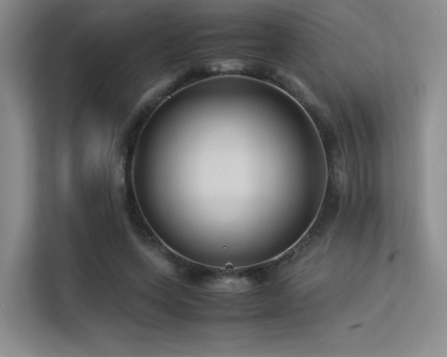 X0000113240543200909101410