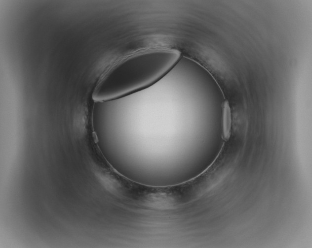 X0000113240544200909101410