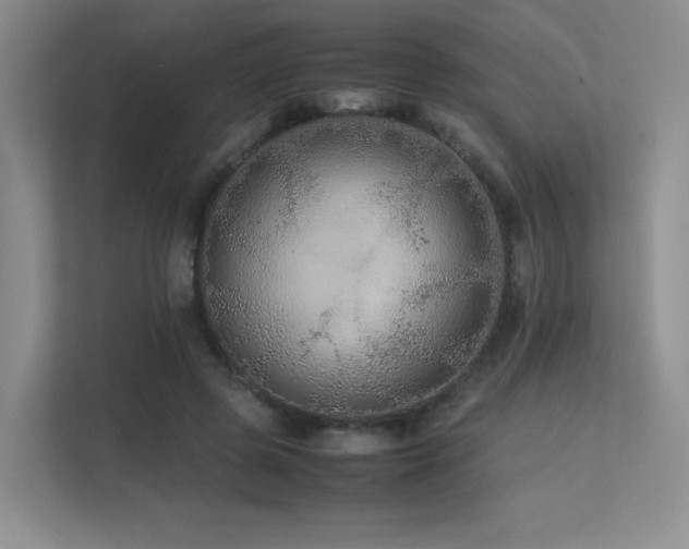 X0000113240545200909101410