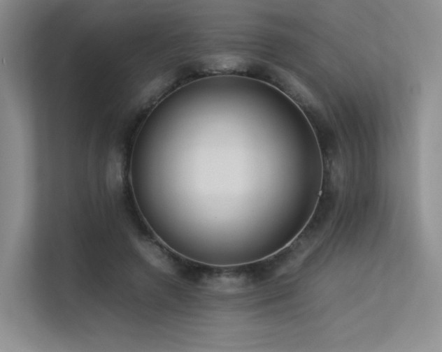 X0000113240546200909101410