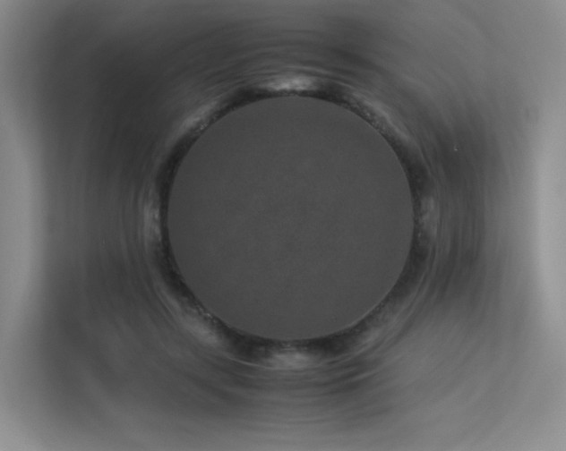 X0000113240547200909101410