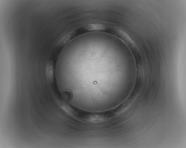 X0000113240549200909101410