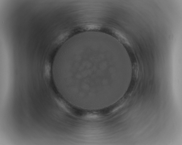 X0000113240550200909101410