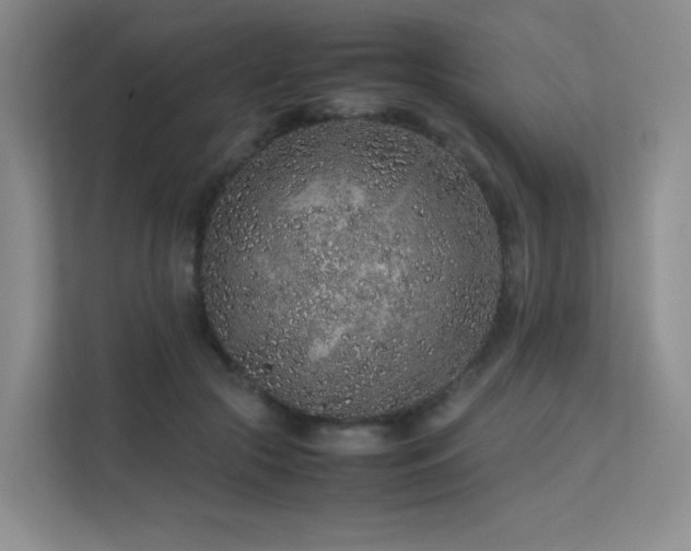 X0000113240553200909101410