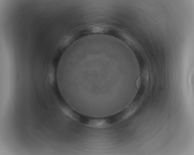 X0000113240554200909101410