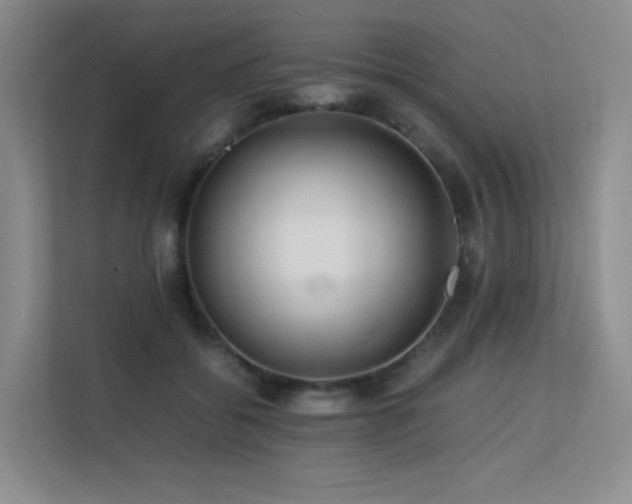 X0000113240556200909101410