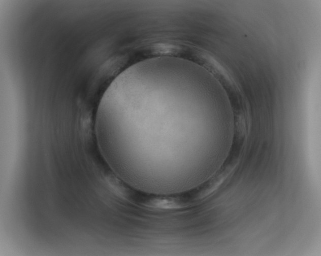 X0000113240557200909101410