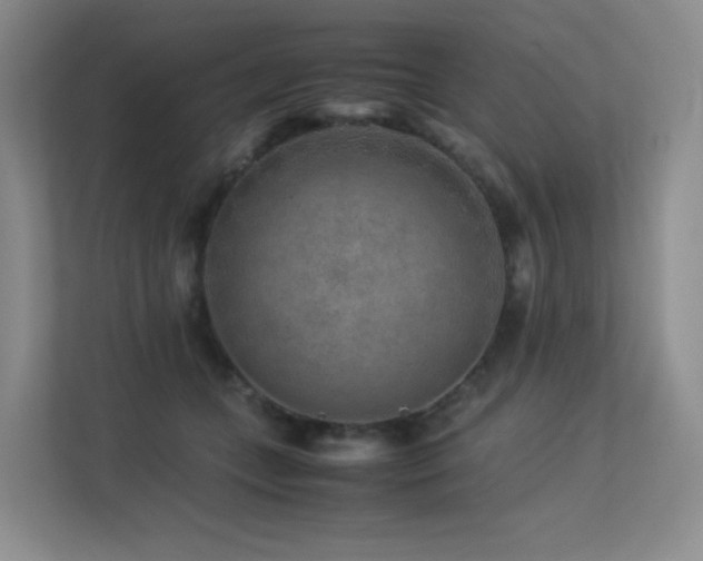 X0000113240559200909101410