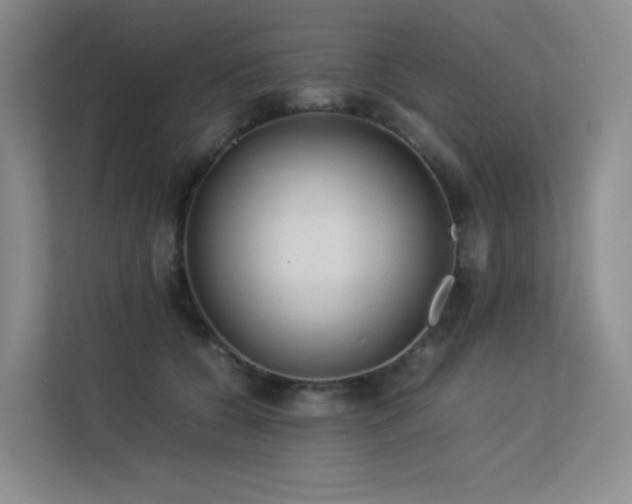 X0000113240560200909101410