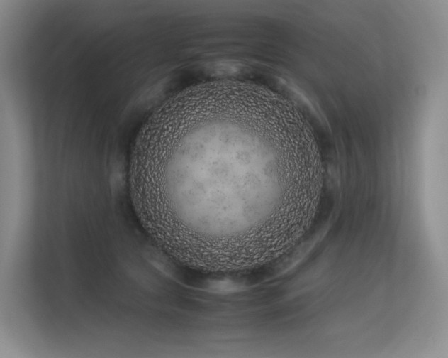 X0000113240561200909101410