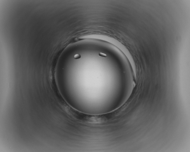 X0000113240562200909101410