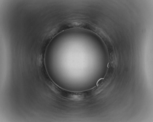 X0000113240563200909101410