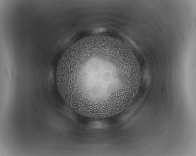 X0000113240565200909101410