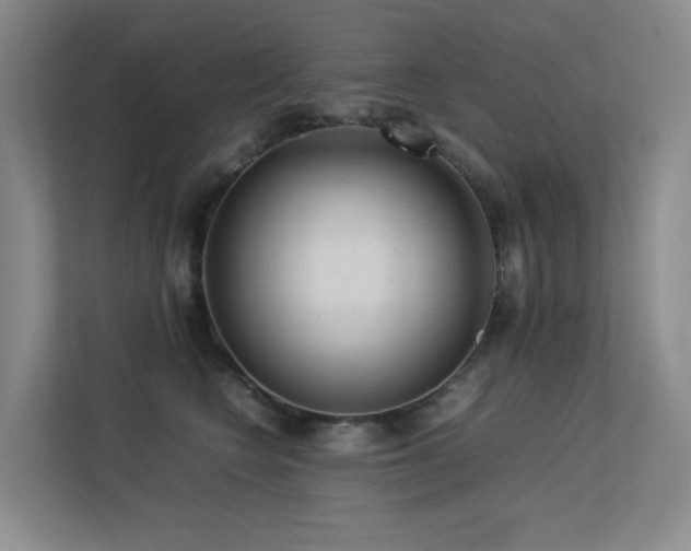 X0000113240566200909101410