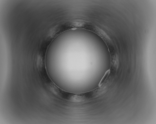 X0000113240568200909101410