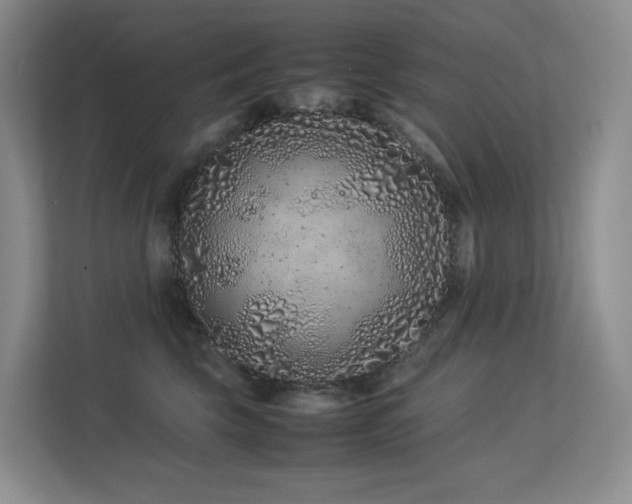 X0000113240569200909101410