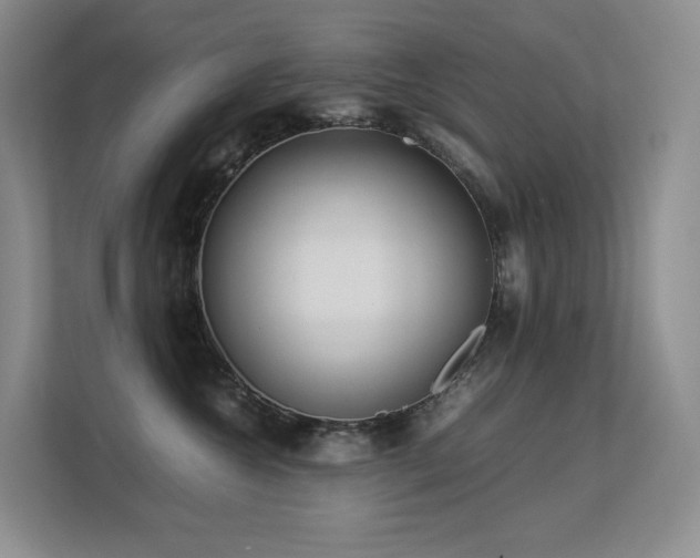 X0000113240572200909101411