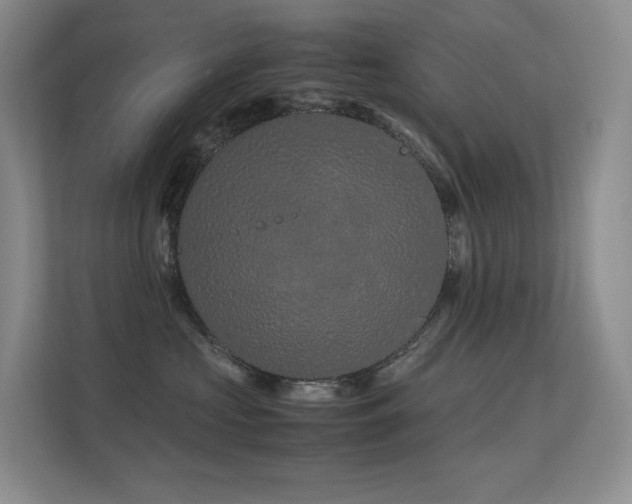 X0000113240573200909101411