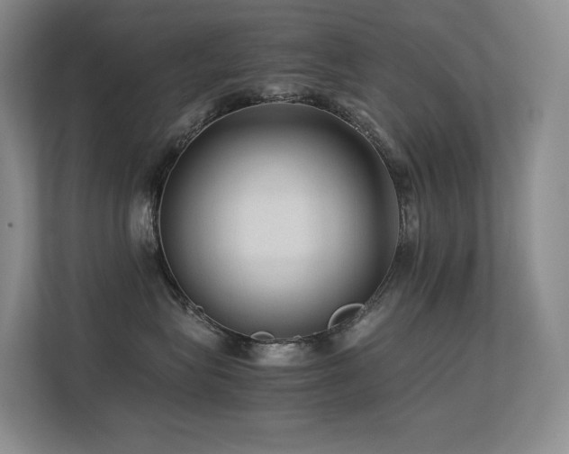 X0000113240575200909101411