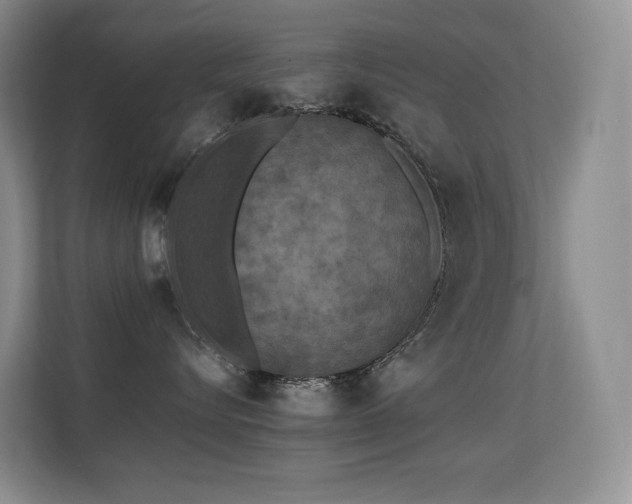 X0000113240576200909101411