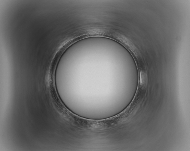 X0000113240579200909101410