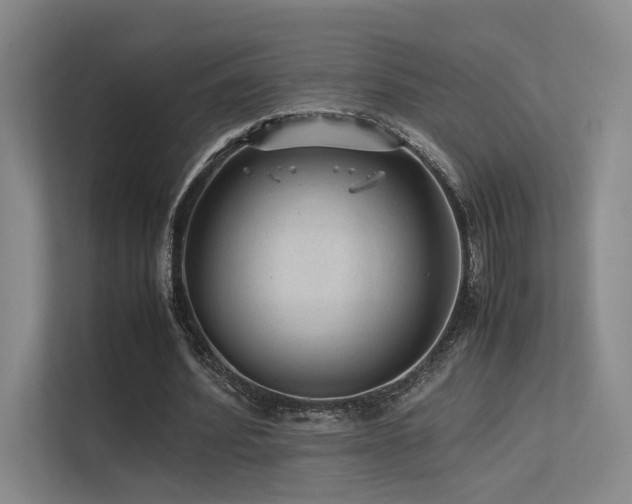 X0000113240580200909101410