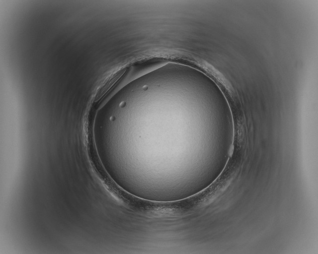 X0000113240581200909101410