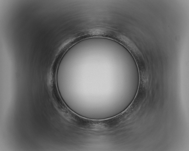 X0000113240583200909101410