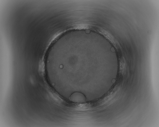 X0000113240584200909101410