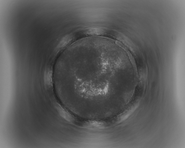 X0000113240585200909101410